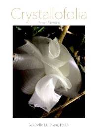 Frost Flower on the book cover